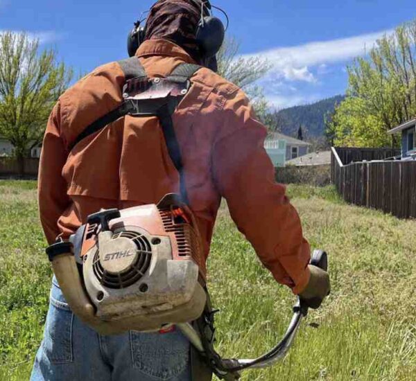 Stihl FS 200 brushcutter to clear thick grass in an overgrown field.