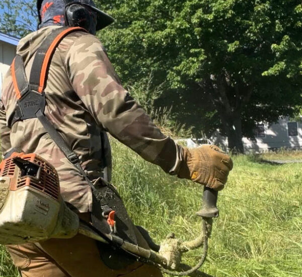 Man cutting over grown yard with commercial string trimmer
